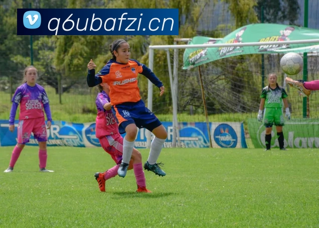 九游手机官网入口品牌故事